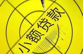 小额贷款公司做账实务，小额贷款公司取得的农户小额贷款利息收入
