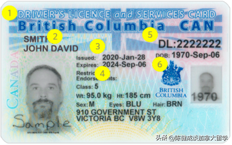 加拿大国际驾照怎么申请？来加拿大留学，办理的当地驾照攻略（BC省篇）