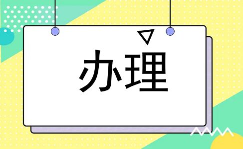 办理