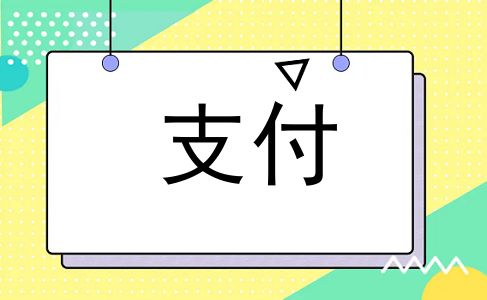 支付