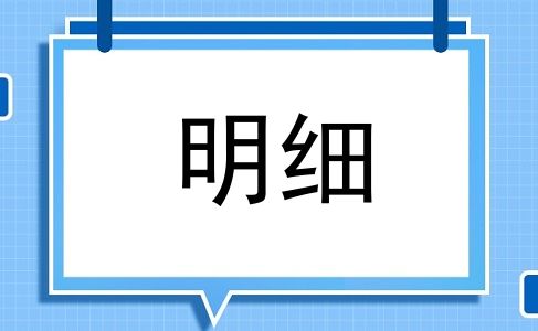 明细