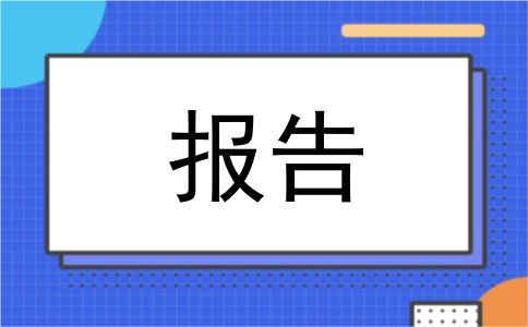 报告