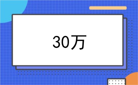 30万