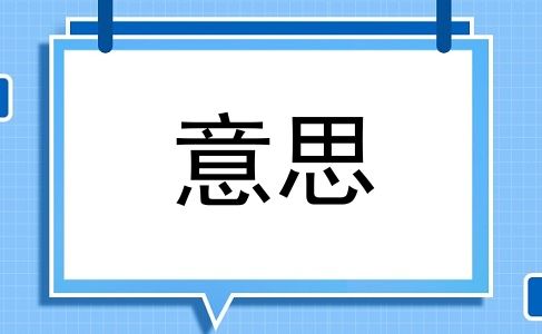 意思