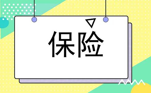 保险
