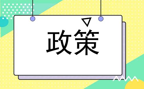 政策