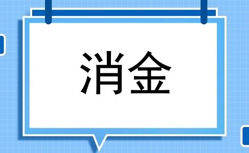 消金