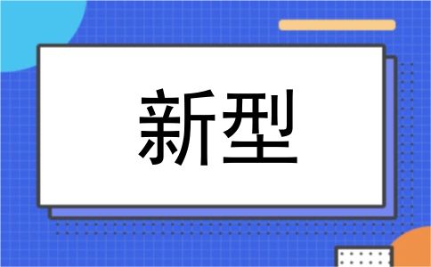 新型