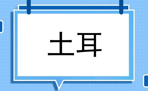 土耳