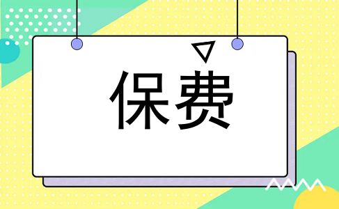 保费