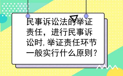 民事诉讼法的举证责任，进行民事诉讼时,举证责任环节一般实行什么原则？