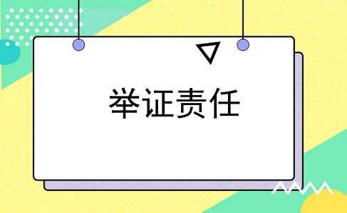 举证责任