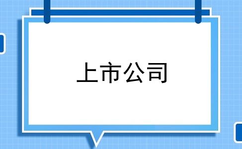 上市公司