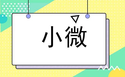 小微