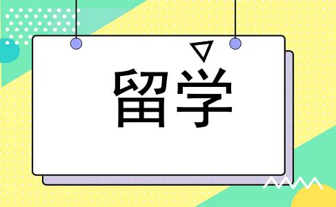 留学